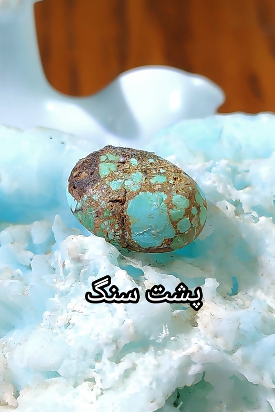 سنگ فیروزه شجری نیشابوری، ذات عالی شجری دورنگ با رگه های عنکبوتی ، ترکیب زیبایی از دو رنگ آبی آسمانی و سبز، تراش بیضی باب رکاب، مناسب برای انگشتر مردانه، دستبند و مدال، جلای آینه ای و فوق العاده درخشان، با ضمانت اصل نیشابور، زنده و طبیعی.